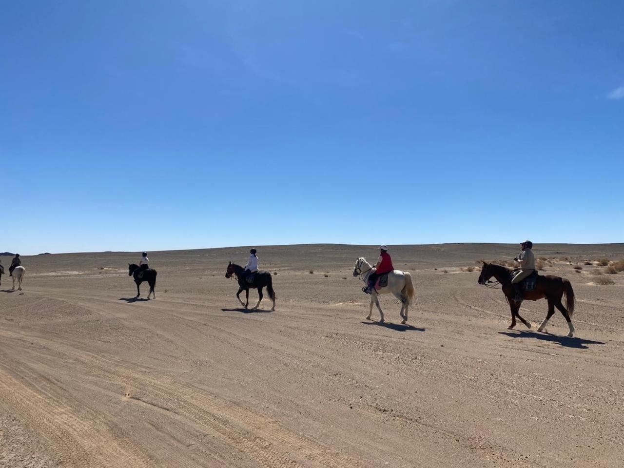 Auberge Restau Tombouctou Ait-Ben-Haddou Eksteriør billede